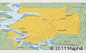 Savanna Style Panoramic Map of Dobryanskiy