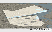 Shaded Relief Panoramic Map of Ilyinskiy, darken