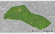 Satellite 3D Map of Lysvenskiy, lighten, desaturated