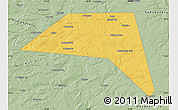 Savanna Style Map of Ordinsky