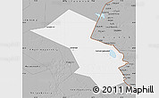 Gray Map of Akhtubinskiy