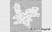 Gray Map of Kirov Oblast