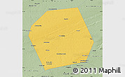 Savanna Style Map of Pankrushykhinskiy