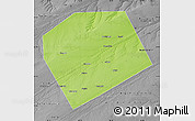 Physical Map of Rebrikhinskiy, desaturated
