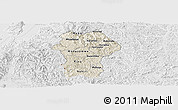Shaded Relief Panoramic Map of Gikongoro, lighten, desaturated