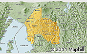 Savanna Style 3D Map of Gisenyi