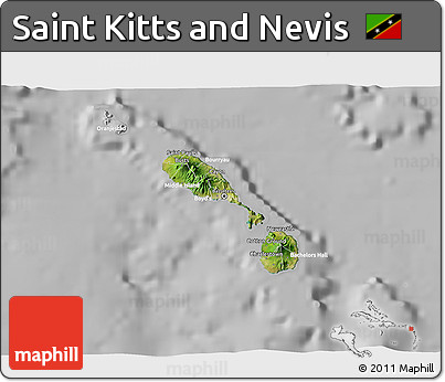 Satellite 3D Map of Saint Kitts and Nevis, lighten, desaturated