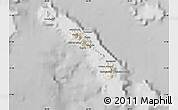 Shaded Relief Map of Saint Kitts and Nevis, desaturated