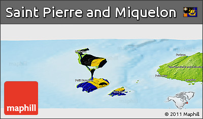 Flag Panoramic Map of Saint Pierre and Miquelon, physical outside, flag centered