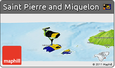 Flag Panoramic Map of Saint Pierre and Miquelon, physical outside, flag centered