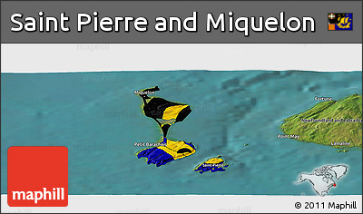 Flag Panoramic Map of Saint Pierre and Miquelon, satellite outside, flag centered