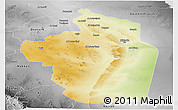 Physical Panoramic Map of Riyad, desaturated