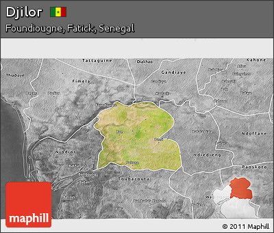 Satellite 3D Map of Djilor, desaturated