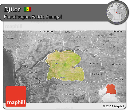 Satellite 3D Map of Djilor, desaturated