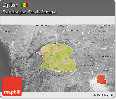 Satellite 3D Map of Djilor, desaturated