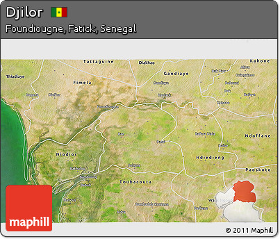 Satellite 3D Map of Djilor