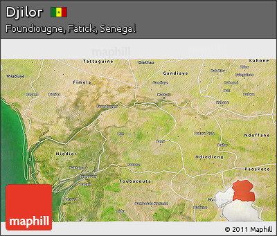 Satellite 3D Map of Djilor