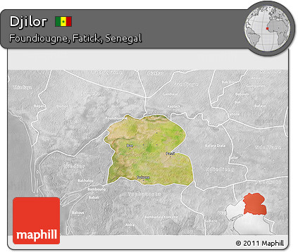Satellite 3D Map of Djilor, lighten, desaturated