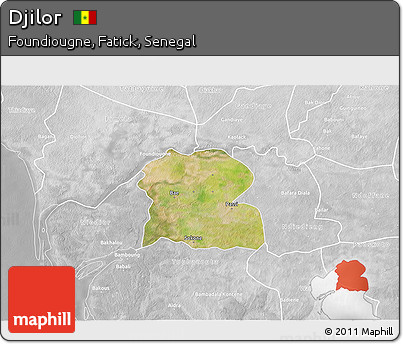 Satellite 3D Map of Djilor, lighten, desaturated