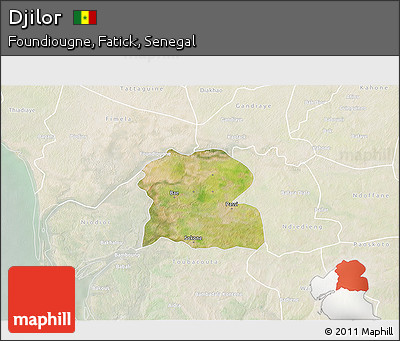 Satellite 3D Map of Djilor, lighten