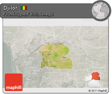 Satellite 3D Map of Djilor, lighten, semi-desaturated
