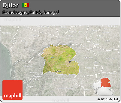 Satellite 3D Map of Djilor, lighten, semi-desaturated