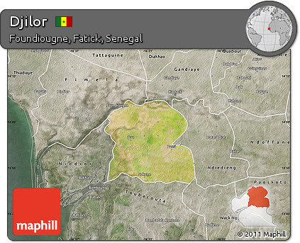 Satellite Map of Djilor, semi-desaturated