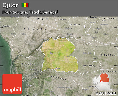Satellite Map of Djilor, semi-desaturated