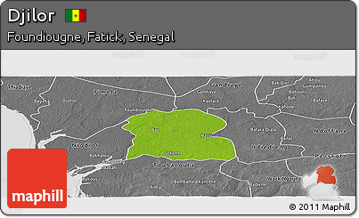 Physical Panoramic Map of Djilor, desaturated