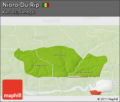 Physical 3D Map of Nioro-Du-Rip, lighten