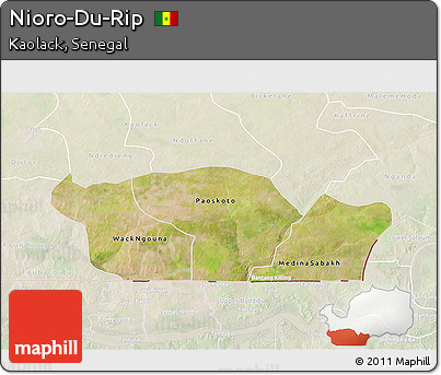 Satellite 3D Map of Nioro-Du-Rip, lighten