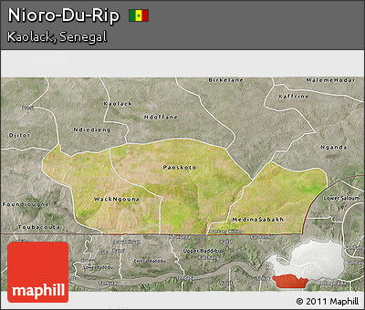 Satellite 3D Map of Nioro-Du-Rip, semi-desaturated