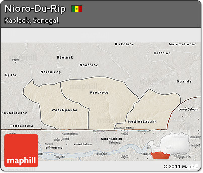 Shaded Relief 3D Map of Nioro-Du-Rip, semi-desaturated