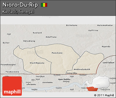 Shaded Relief 3D Map of Nioro-Du-Rip, semi-desaturated