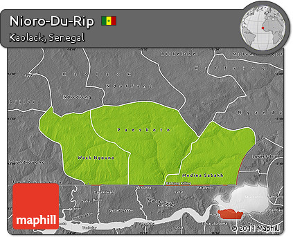 Physical Map of Nioro-Du-Rip, desaturated