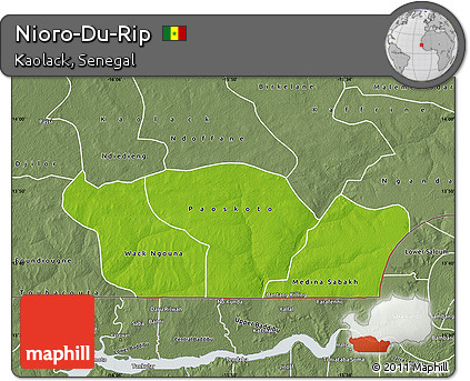 Physical Map of Nioro-Du-Rip, semi-desaturated