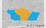 Political Map of Nioro-Du-Rip, lighten, desaturated