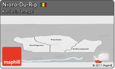 Gray Panoramic Map of Nioro-Du-Rip, single color outside
