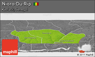 Physical Panoramic Map of Nioro-Du-Rip, desaturated