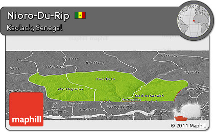 Physical Panoramic Map of Nioro-Du-Rip, desaturated
