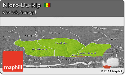 Physical Panoramic Map of Nioro-Du-Rip, desaturated