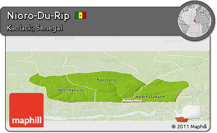 Physical Panoramic Map of Nioro-Du-Rip, lighten