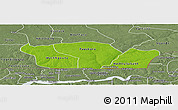 Physical Panoramic Map of Nioro-Du-Rip, semi-desaturated