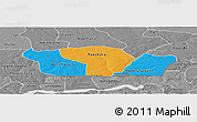 Political Panoramic Map of Nioro-Du-Rip, desaturated
