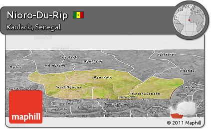 Satellite Panoramic Map of Nioro-Du-Rip, desaturated