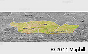 Satellite Panoramic Map of Nioro-Du-Rip, desaturated