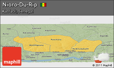 Savanna Style Panoramic Map of Nioro-Du-Rip