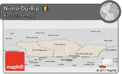 Shaded Relief Panoramic Map of Nioro-Du-Rip, desaturated