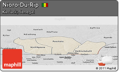 Shaded Relief Panoramic Map of Nioro-Du-Rip, desaturated