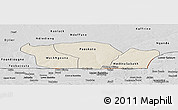 Shaded Relief Panoramic Map of Nioro-Du-Rip, desaturated